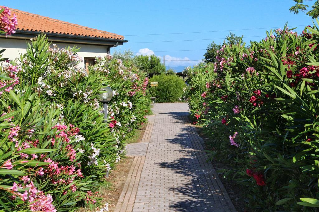 פופולוניה Agriturismo Gli Etruschi מראה חיצוני תמונה