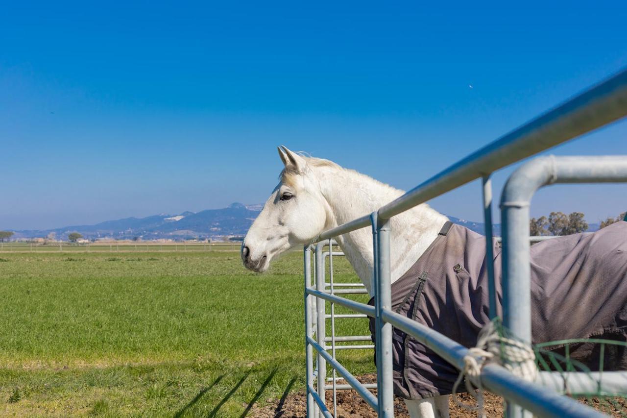 פופולוניה Agriturismo Gli Etruschi מראה חיצוני תמונה