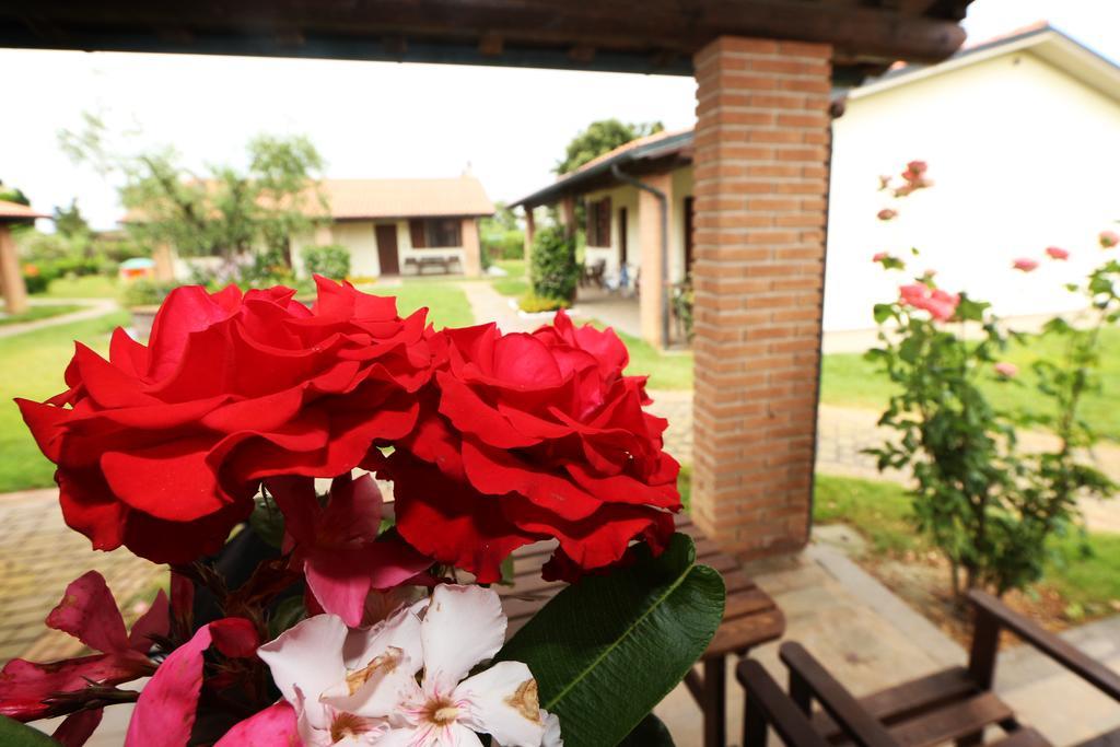 פופולוניה Agriturismo Gli Etruschi חדר תמונה