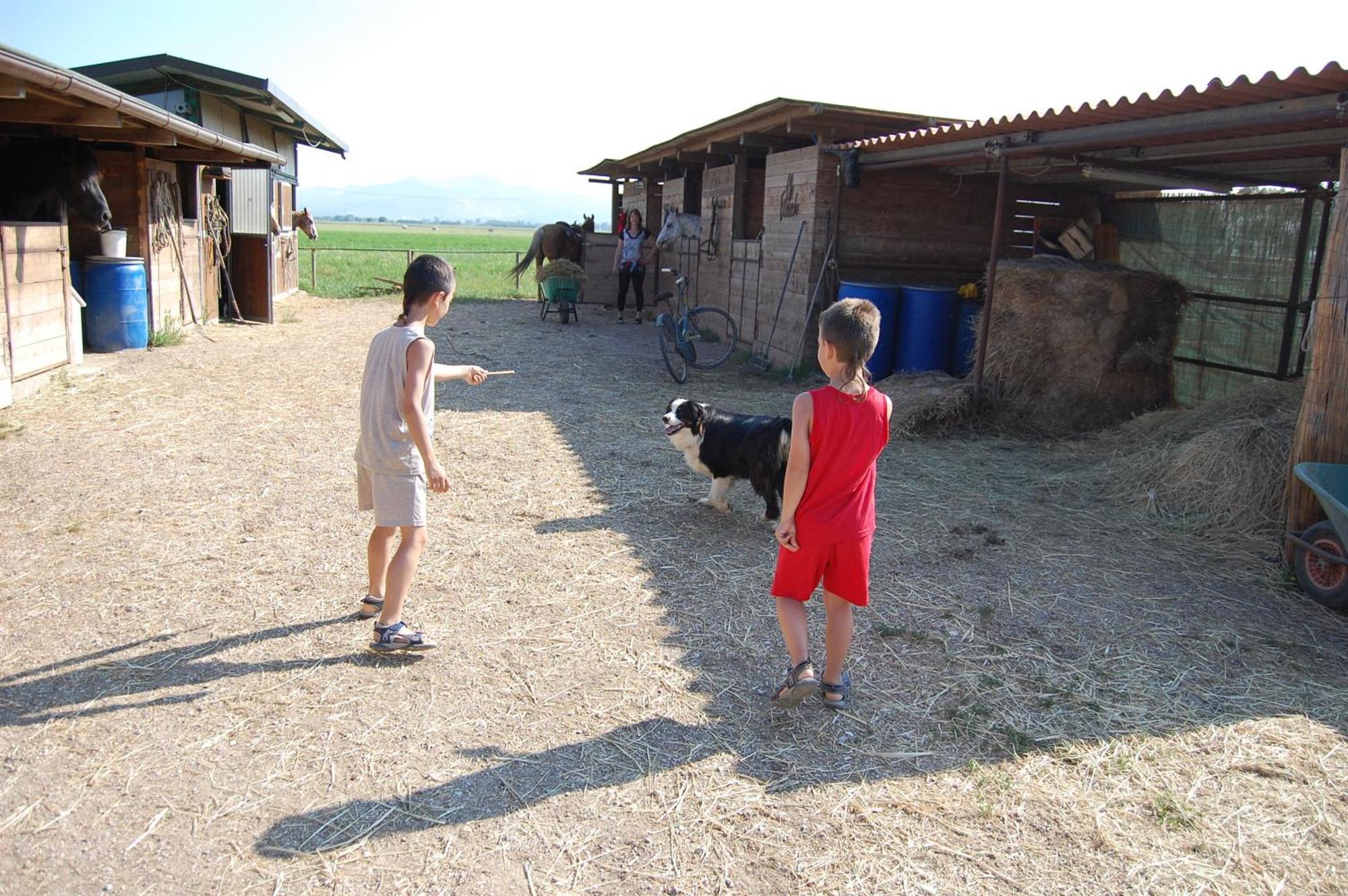פופולוניה Agriturismo Gli Etruschi מראה חיצוני תמונה