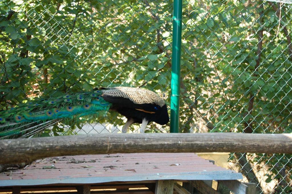 פופולוניה Agriturismo Gli Etruschi מראה חיצוני תמונה