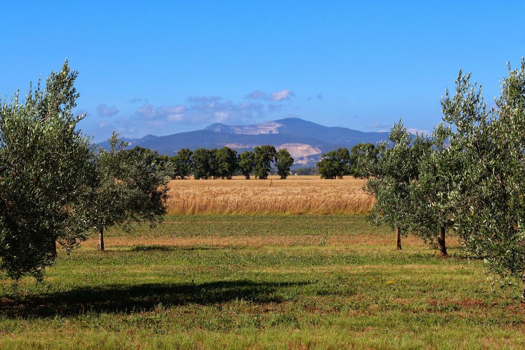 פופולוניה Agriturismo Gli Etruschi מראה חיצוני תמונה